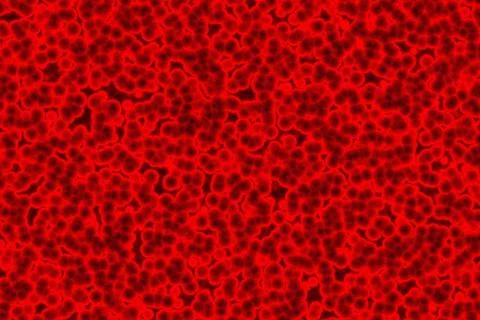 Background of many red bio cells イラスト素材