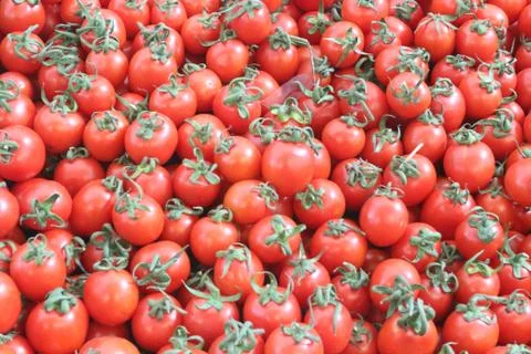 Background of Many Red Cherry Tomatoes Stock Photos