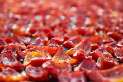 Background of Many Red Tomatoes Drying outdoors in the sunlight Stock Photos