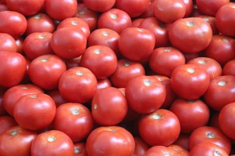 Background of Many Red Tomatoes Stock Photos