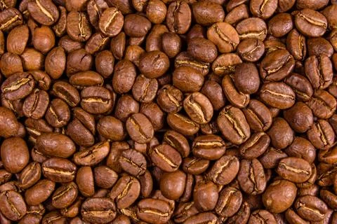 Background of many roasted coffee beans Stock Photos