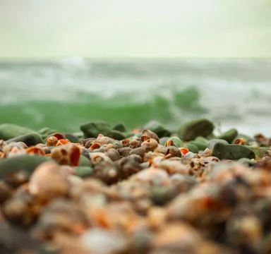 Background of many small shells and sea waves. Stock Photos