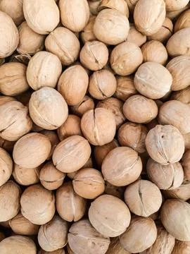 Background of many walnuts in closed shell in the whole frame. Stock Photos