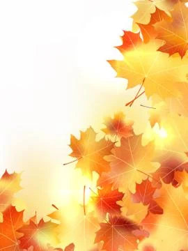 Background with maple autumn leaves. plus EPS10 Stock Illustration