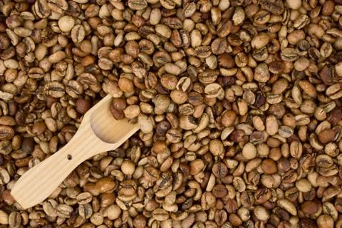 Background of    middle coffee beans Stock Photos