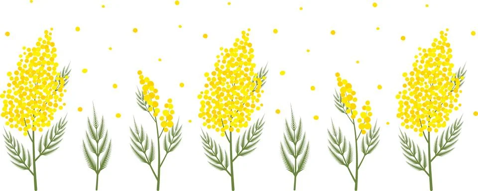 Background with mimosa branches Ilustración de archivo