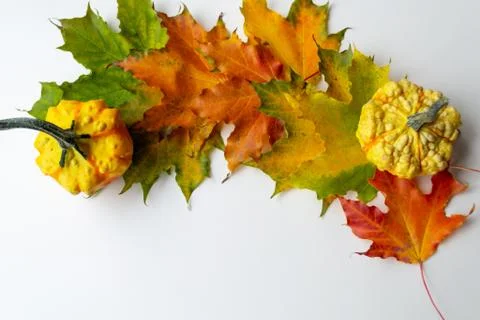 Background with mini decorative pumpkins on maple leaves. Autumn moon. Space  Stock Photos