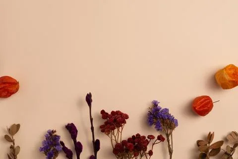 The background mockup is decorated with a composition of dried branches and r Foto stock