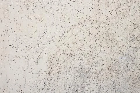 Background of mold from the damp. Stock Photos