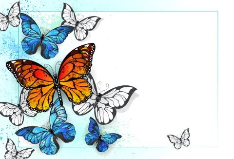 Background with monarchs and morpho Stock Illustration