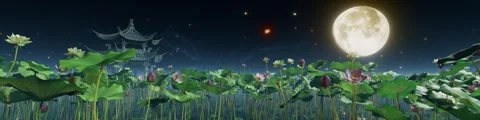 The background of the moonlit pond scene is played continuously on the stage bac Stock Footage 339389057