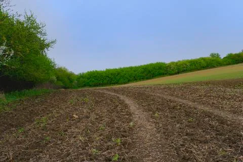 Background of Moravian fields. Landscape in spring. Moravian Tuscany, south Stock-Fotos