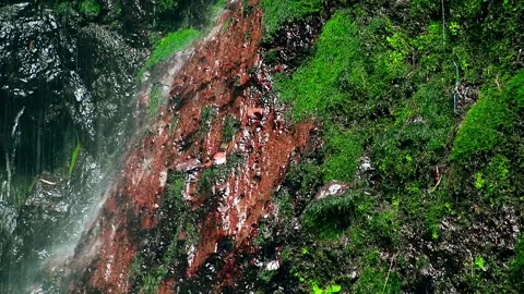 Background Moss rocks on the cliff Stock Footage 259852462