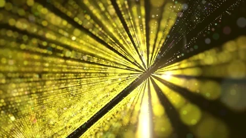 Background Motion Graphics  Animated Background 動画素材 172275925