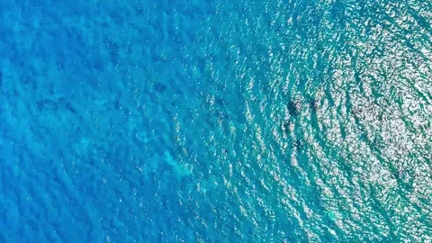 Background the motion of the sea Stock Footage 287519872