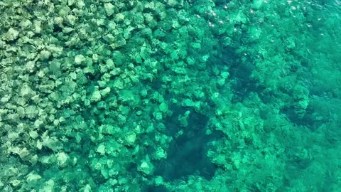 Background the motion of the sea Stock Footage 287521700