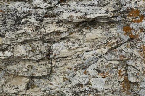 Background of mountain stone with mold Stock Photos