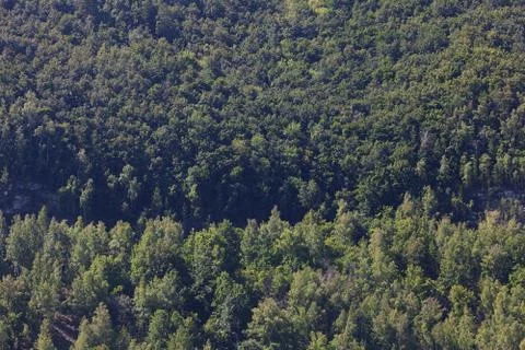 Background of mountains with green trees Stock Photos