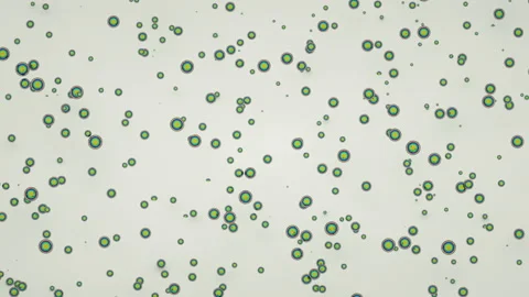 Background of moving particles in three-dimensional space. Seamless loop. Stock Footage 94728589