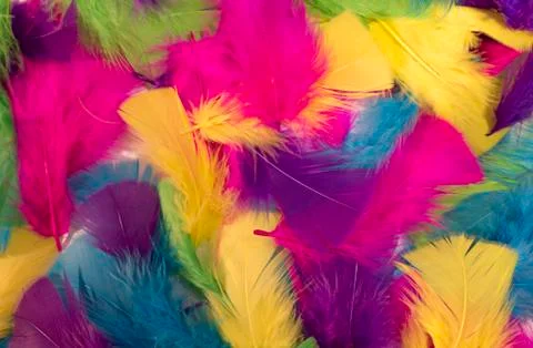 Background from multi-colored feathers Stock Photos