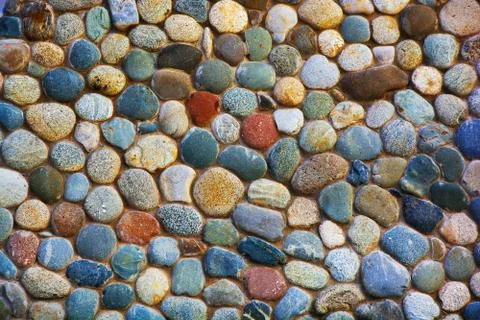 Background from multi-colored pebbles. Pebbles pattern. Stock Photos