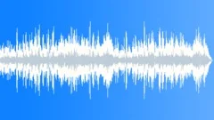 Background Music with Fiddle (violin) for Streamed Broadcast Videos Stock Music