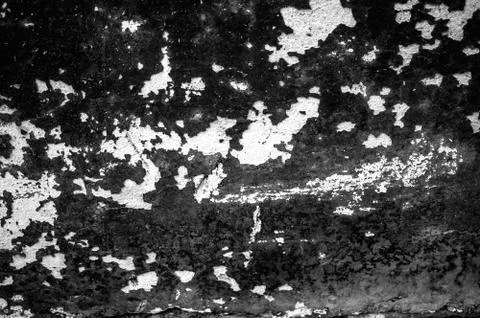 Background natural abstract plaster on the wall plain textured dark gray with Stock Photos