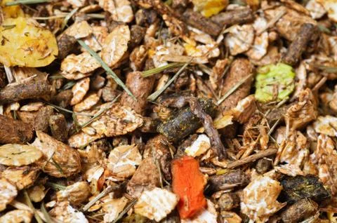 Background of natural   basic muesli  for sportive horse. nutrient equestrian Stock-Fotos