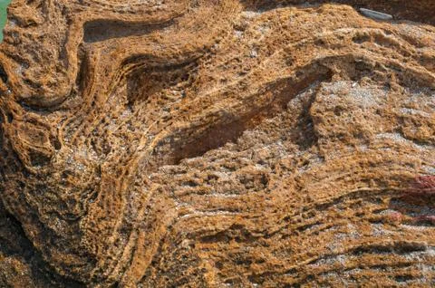 Background natural not processed yellow stone shell Stock Photos
