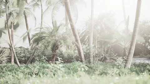 Background of natural palm leaves tree branch Stock Illustration