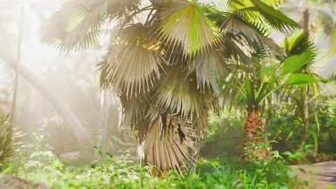 Background of natural palm leaves tree branch Stock Illustration