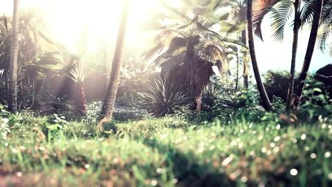 Background of natural palm leaves tree branch Stock Illustration