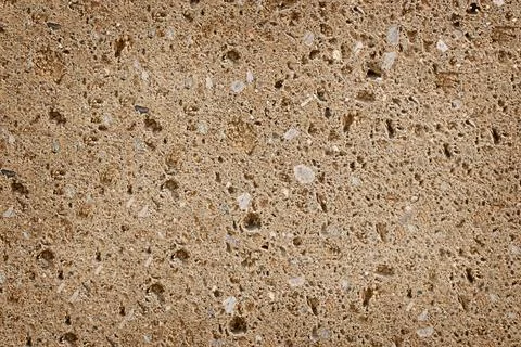 Background with the natural texture Stock Photos