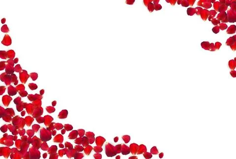 Background of Naturalistic Rose Petals. Vector Illustration Stock Illustration