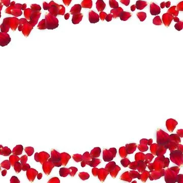 Background of Naturalistic Rose Petals. Vector Illustration イラスト素材