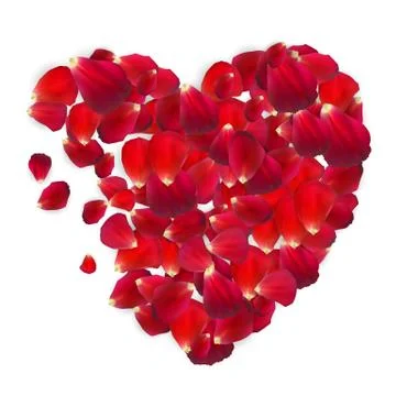 Background of Naturalistic Rose Petals. Vector Illustration 스톡 일러스트