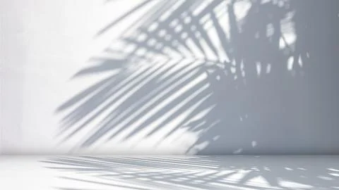 Background of nature cement texture with shadow palm leaves, Empty grey cem.. Stock Photos