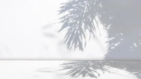 Background of nature cement texture with shadow palm leaves, Empty grey cem.. Stock Photos