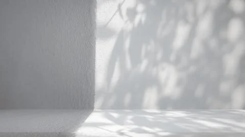 Background of nature cement texture with shadow palm leaves, Well display p.. Stock Photos
