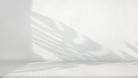 Background of nature cement texture with shadow palm leaves, Well display p.. Stock Photos