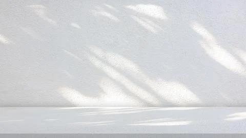 Background of nature cement texture with shadow palm leaves, Well display p.. Stock Photos