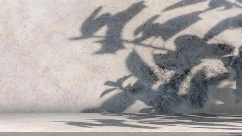 Background of nature cement texture with shadow leaves, Empty grey cement w.. Stock Photos