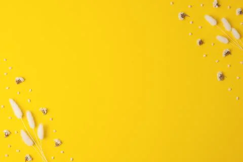 Background with nature components. Suitable for cosmetics, spa, fashion, beau Stock Photos