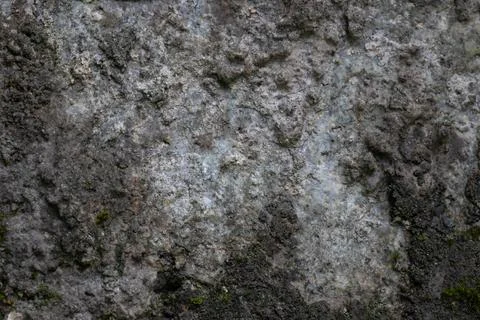 Background for Nature concept, a mossy stone surface with green moss Foto stock