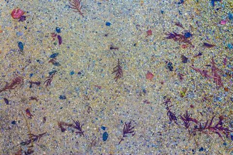 Background nature Stock Photos