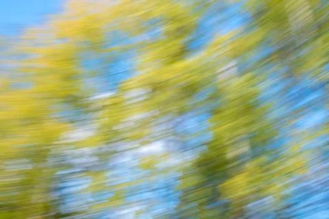 Background of nature Foto stock