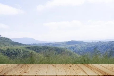Background Nature Plant Tree with Empty Wood Table,Blank Counter Bar on Blu.. 스톡 사진