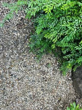 Background nature stone Stock Photos