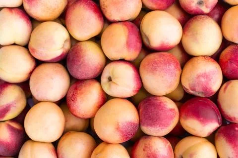 Background of nectarines. Foto stock