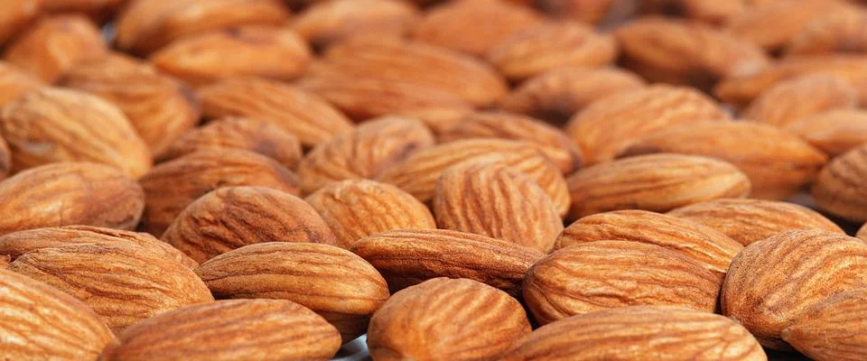 Background from the nuts of almonds, selective focus. Stock Photos